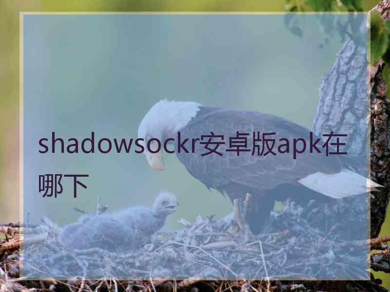 shadowsockr安卓版apk在哪下