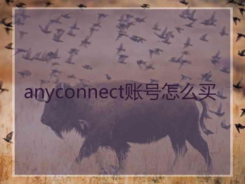 anyconnect账号怎么买