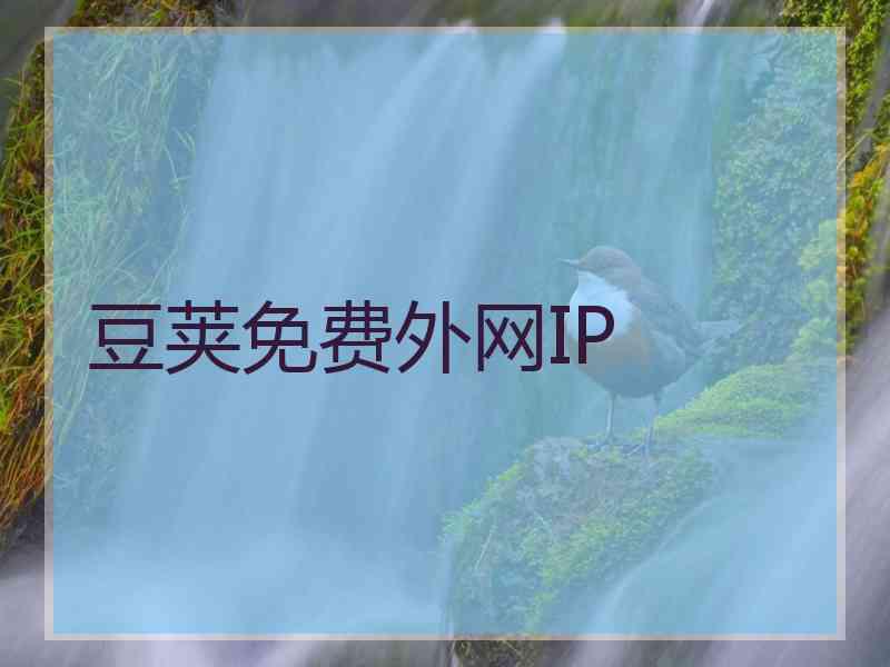 豆荚免费外网IP