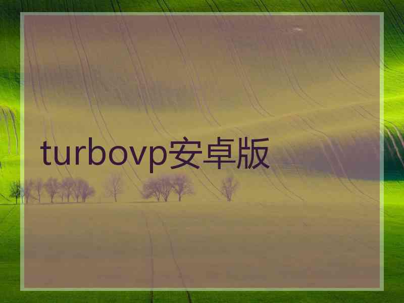 turbovp安卓版