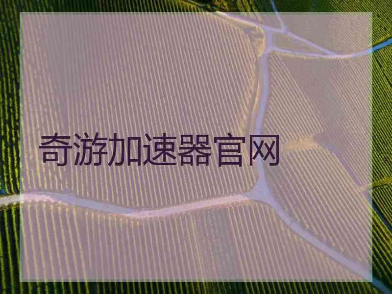 奇游加速器官网