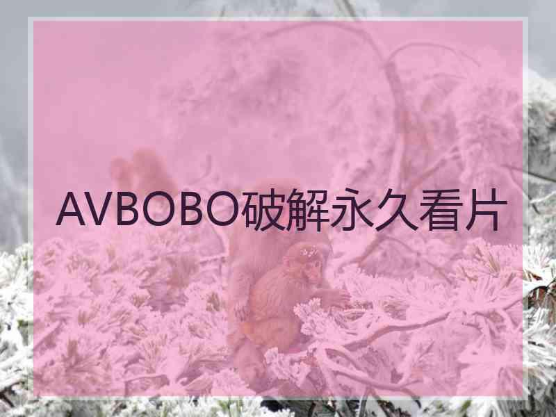 AVBOBO破解永久看片