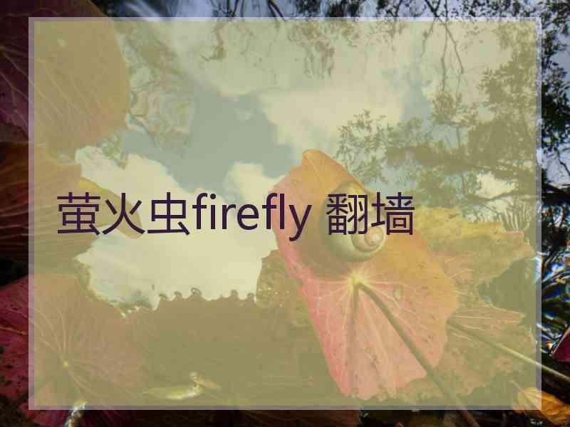 萤火虫firefly 翻墙