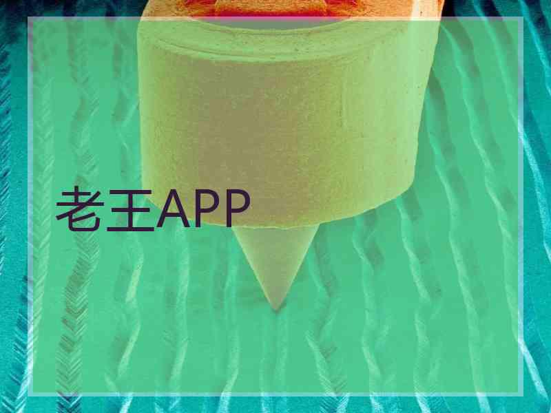 老王APP