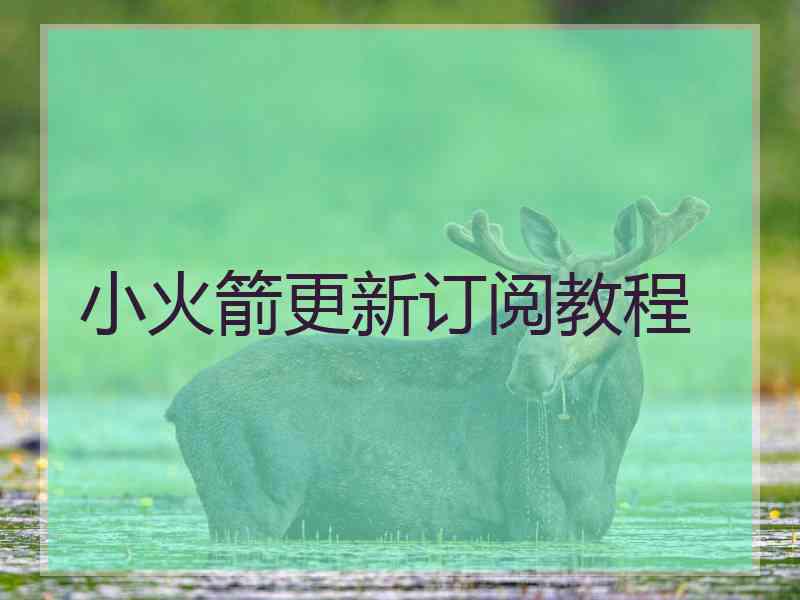 小火箭更新订阅教程