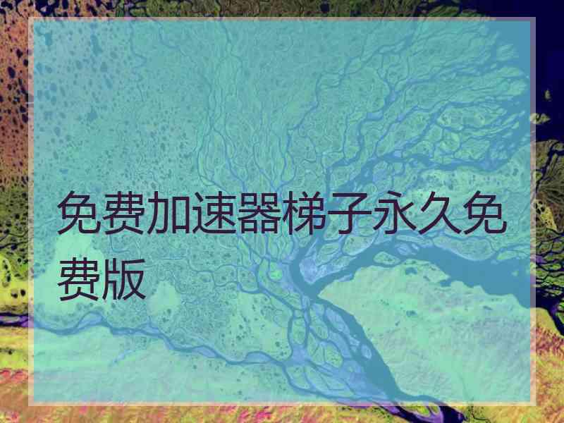 免费加速器梯子永久免费版