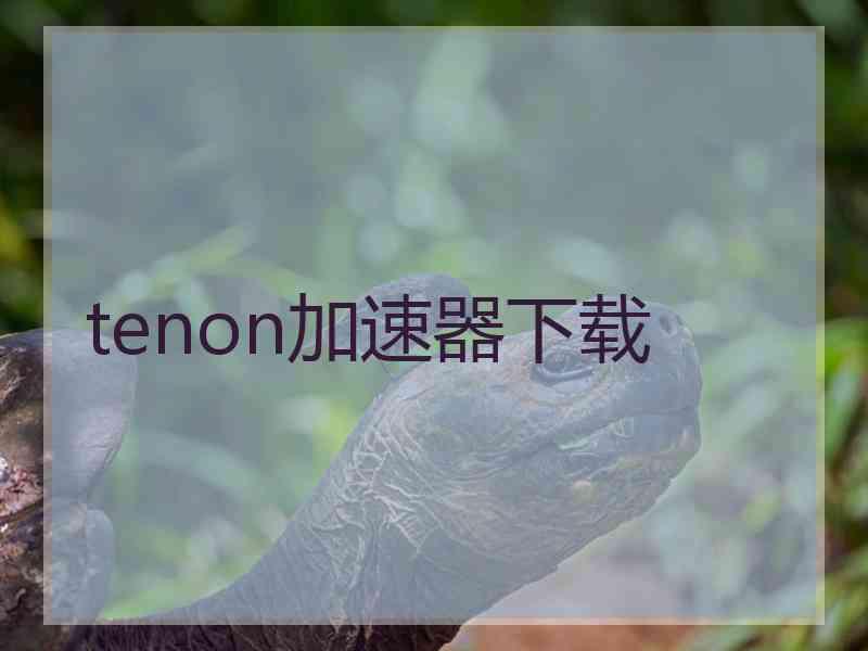 tenon加速器下载