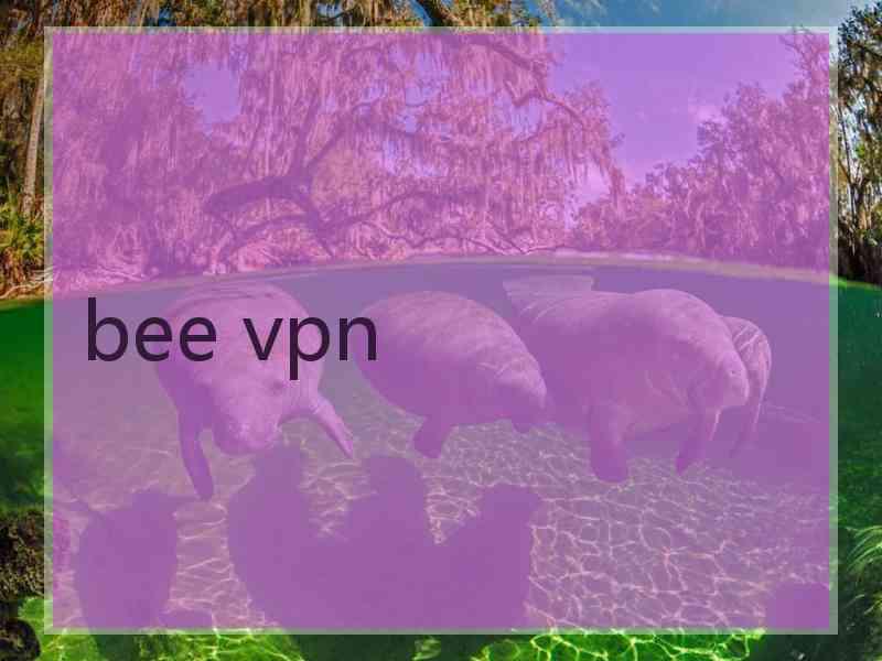 bee vpn